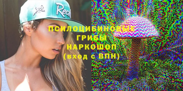 ГАЛЛЮЦИНОГЕННЫЕ ГРИБЫ Арсеньев