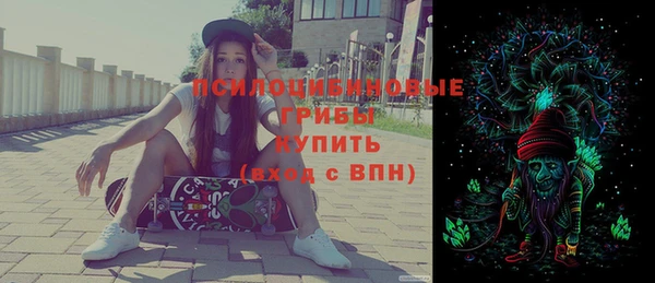 ГАЛЛЮЦИНОГЕННЫЕ ГРИБЫ Арсеньев