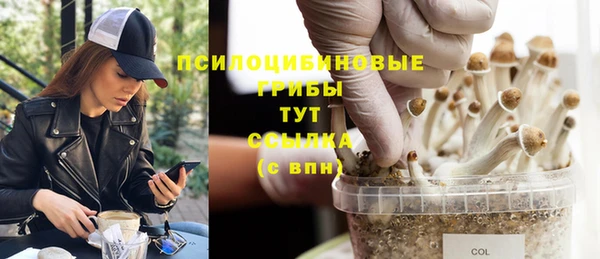 метадон Армянск