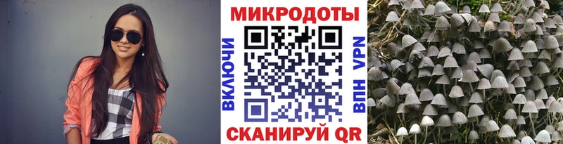 кракен маркетплейс  купить закладку  Севск  Псилоцибиновые грибы Psilocybine cubensis 
